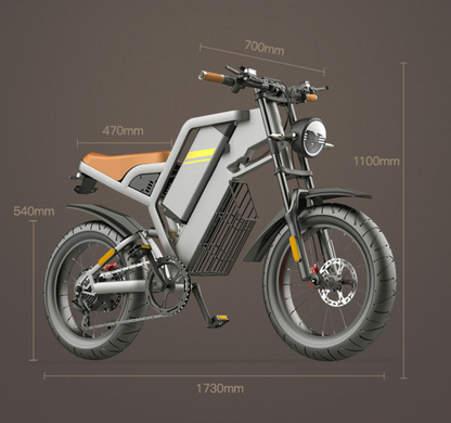 GT20 Electric Bike