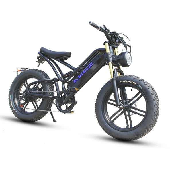 20 inch 750W Electric Cruiser Bike For Adults Electric Bicycle with 48V 17.5Ah Removable Battery Dual Shock Absorber E-Bike