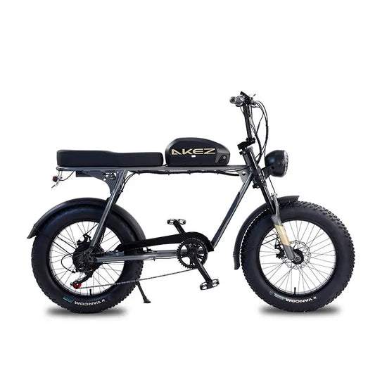 20 Inch Electric Motorcycle Bike Fat Tire 48V 750W/1500W Electric Bicycle For Adults S3RX eBike With Removable Battery