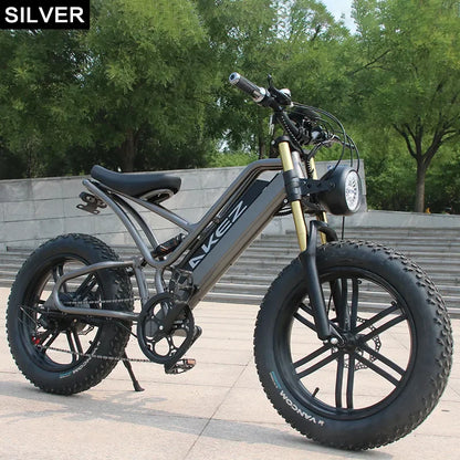 20 inch 750W Electric Cruiser Bike For Adults Electric Bicycle with 48V 17.5Ah Removable Battery Dual Shock Absorber E-Bike