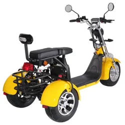 Citycoco Three Wheel Electric Tricycle Scooter