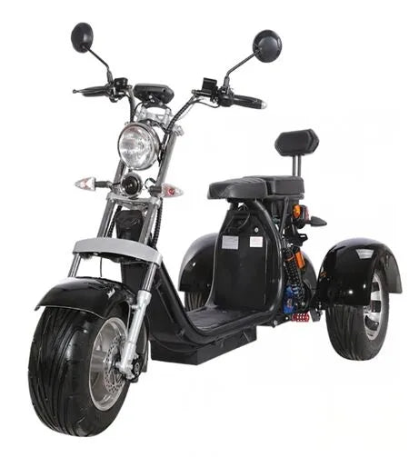 Citycoco Three Wheel Electric Tricycle Scooter